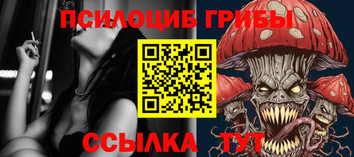 Галлюциногенные грибы Psilocybe  Вход с VPN  Салехард 